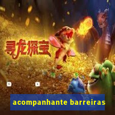 acompanhante barreiras